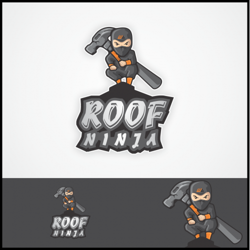 roof ninja thumb