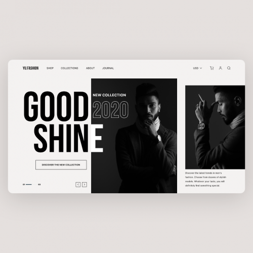 Feshion Web Design