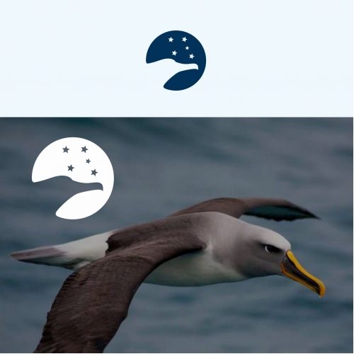 SCA logo concept