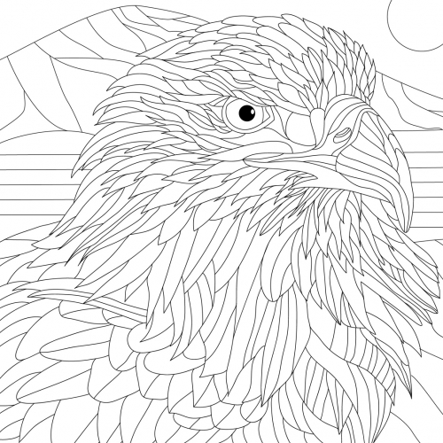 Doodle illustration with eagle