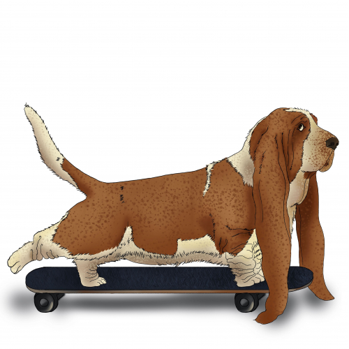 Hound