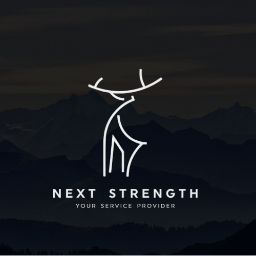 NEXT STRENGTH