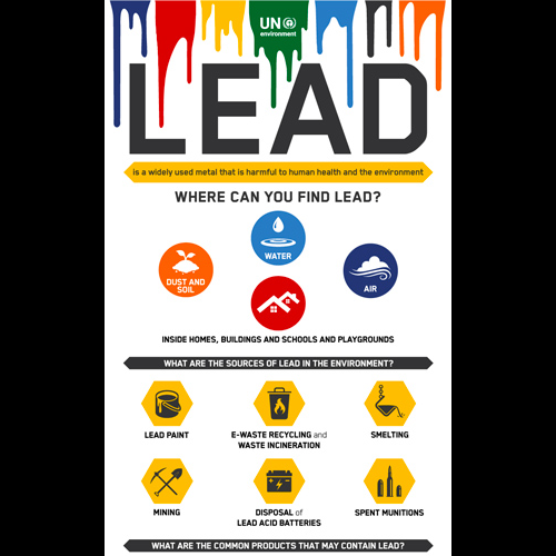 LEAD PAINT - UNEP