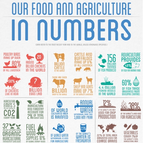 FAO - Our Food and Agriculture in numbers