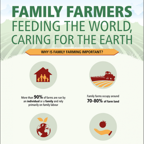 FAO - Family Farming infographic thumb