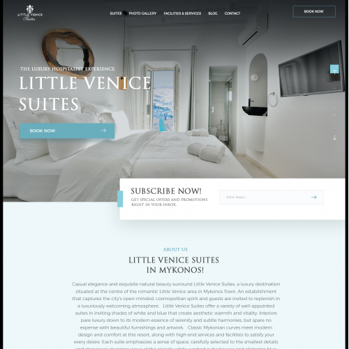 Website design