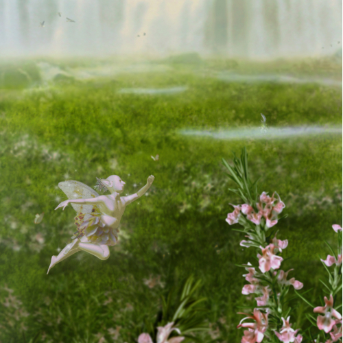 Olive Meadows