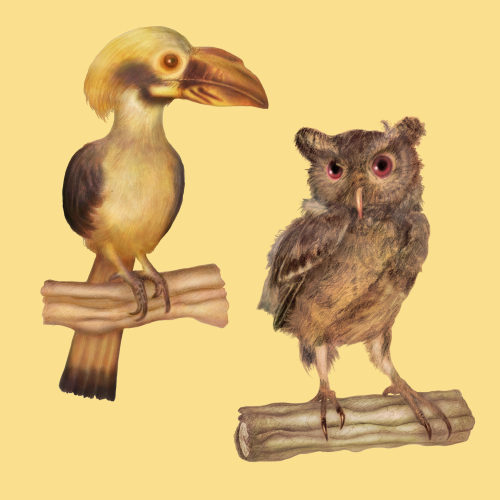 Avians