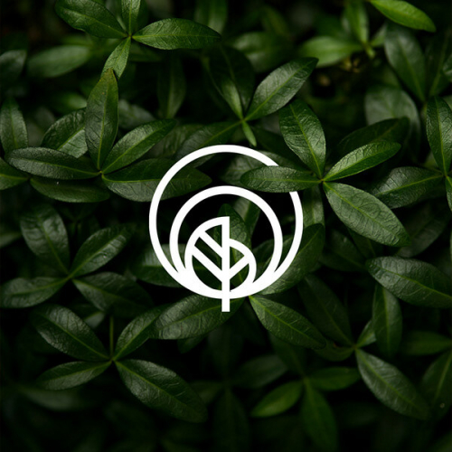 Logo design
