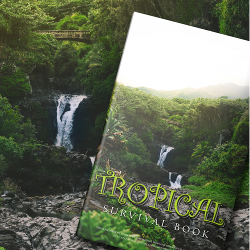 ebook cover design thumb