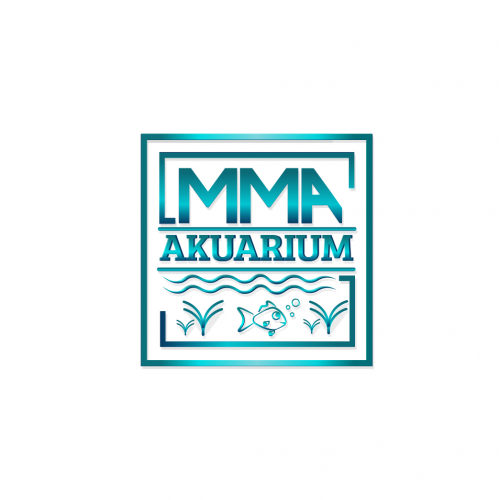 MMA AKUARIUM