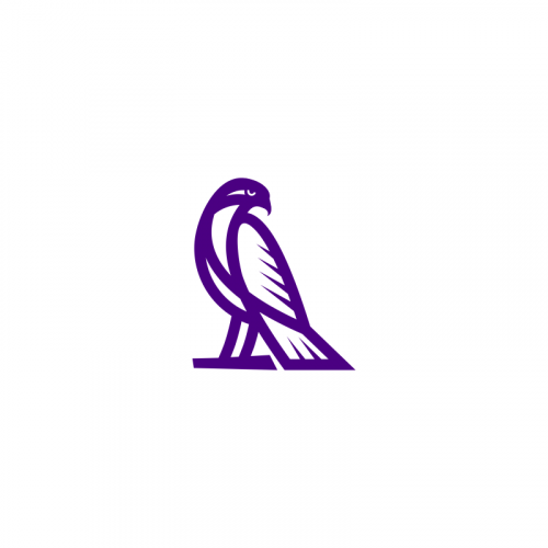 Hawk