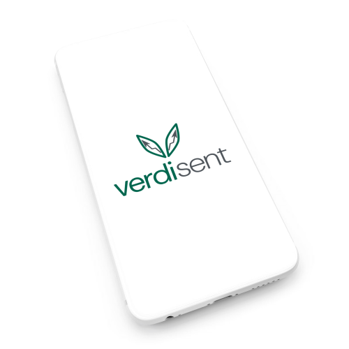 Verdisent green data analysis agency LOGO