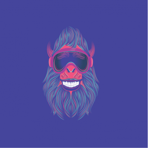 Ski The Wild