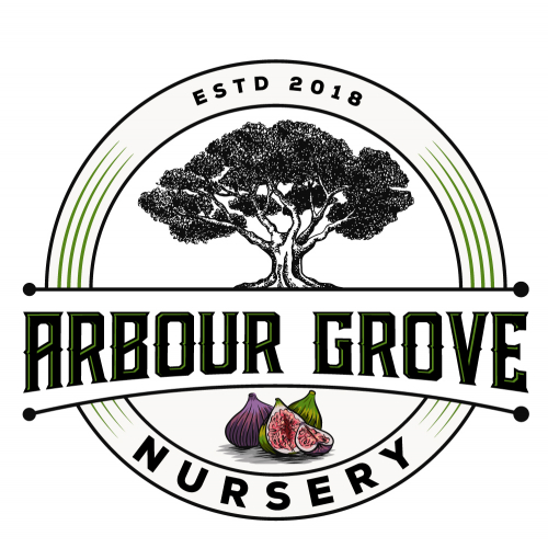 Arbourr Grove Nursery thumb