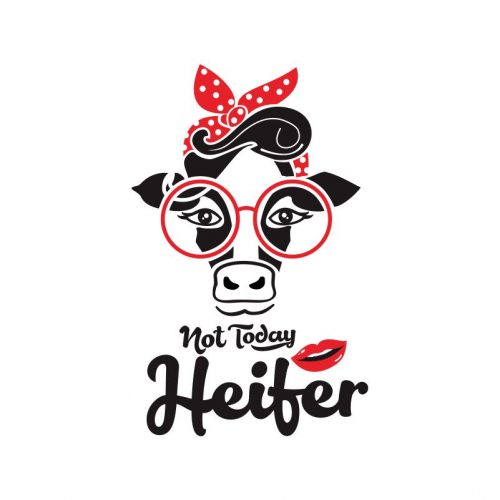 not today heifer