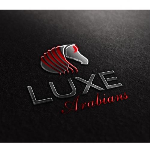 Luxe Arabians