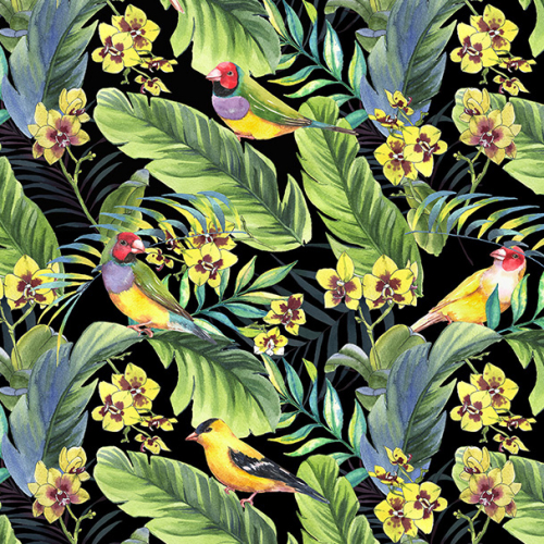 Birds In the Jungle