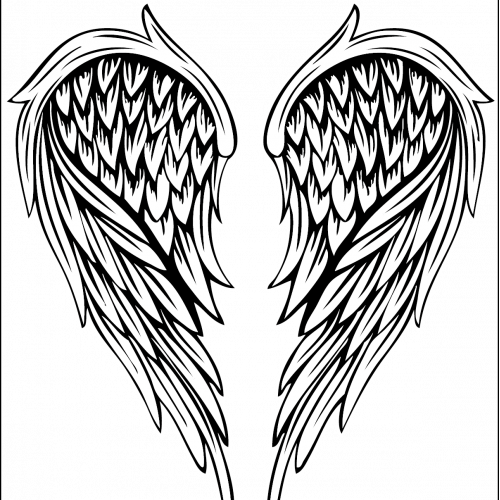 angel winges