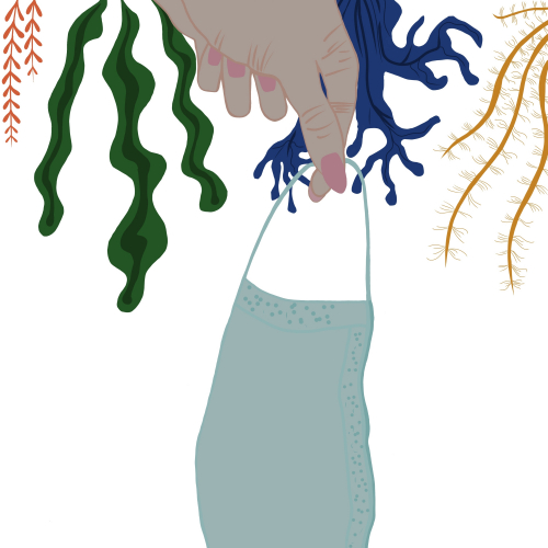 Prevent damage in the Marine Ecosystem