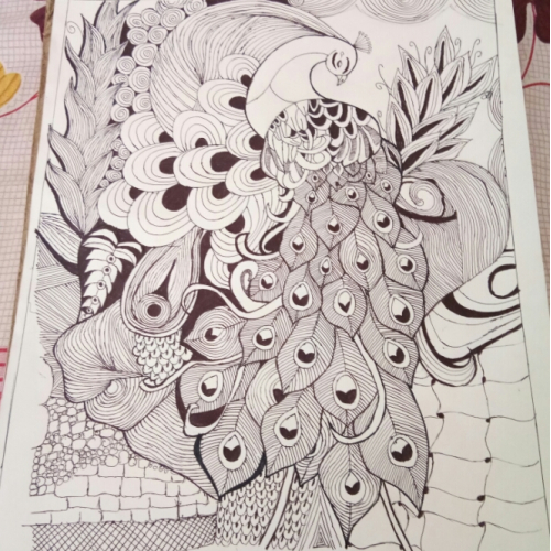 Parrot