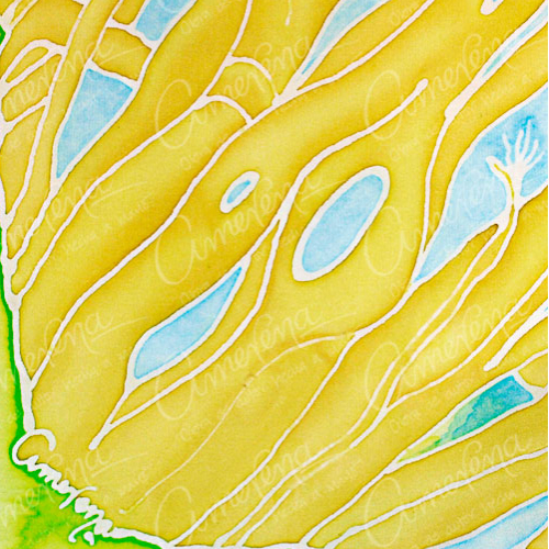 Amatlan yellow amate root