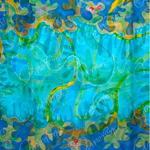 Cozumel coral reef