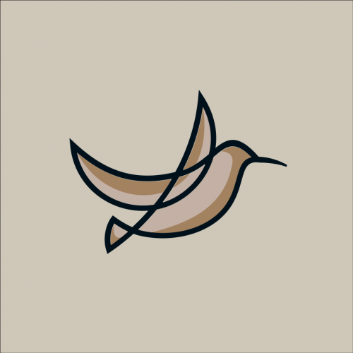 bird design