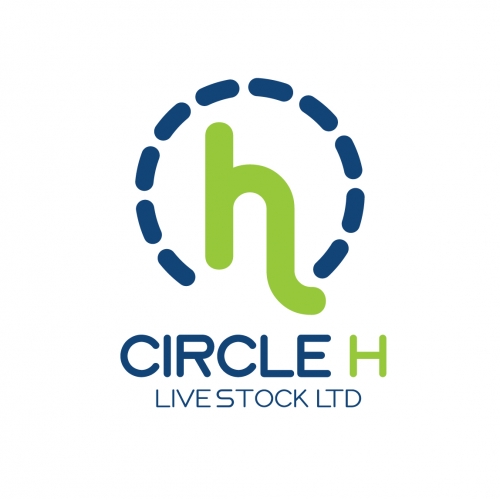 circle h