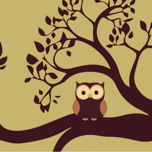 Owl Illustration