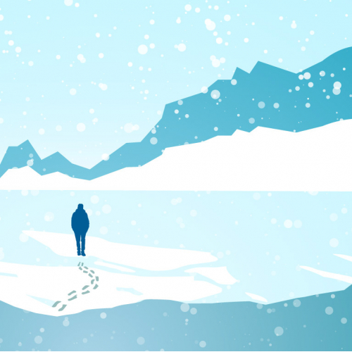 Snow Fall Illustration