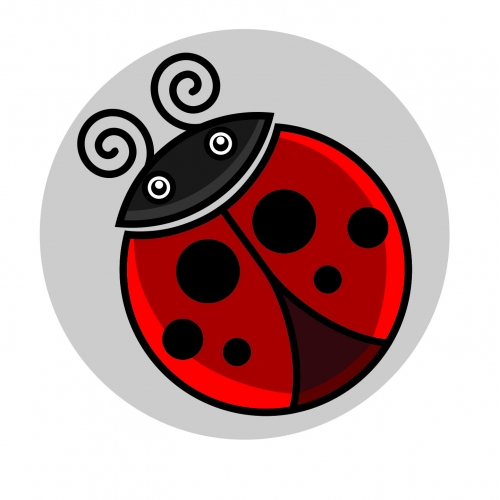 Ladybug
