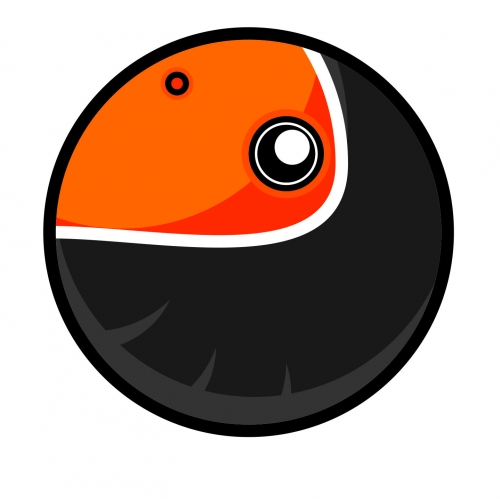 Bird Black