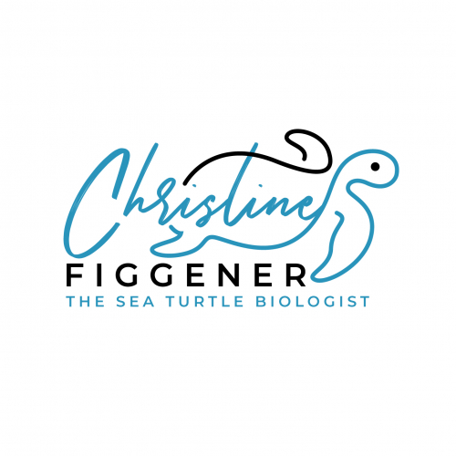 Christine Figgener - The Sea Turtle Biologist