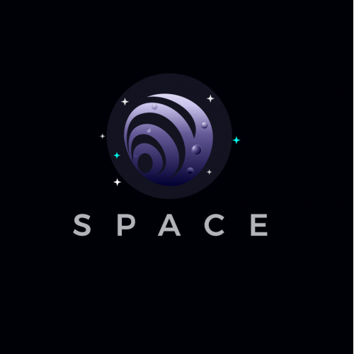 space icon logo