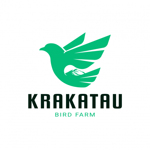 Krakatau Logo Branding