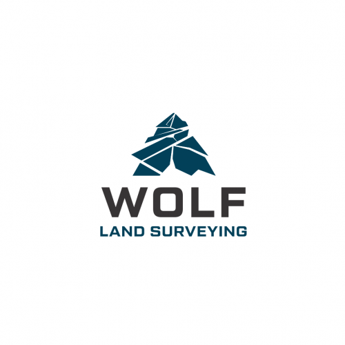 logo geometric wolf nature