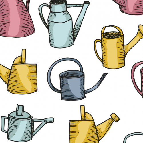 Vintage Watering Cans