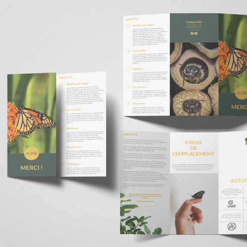 Tri- fold Design thumb