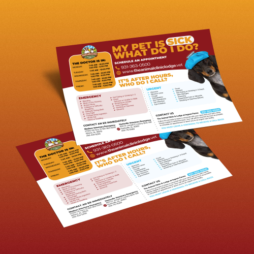 Veterinary Clinic Informative Flyer