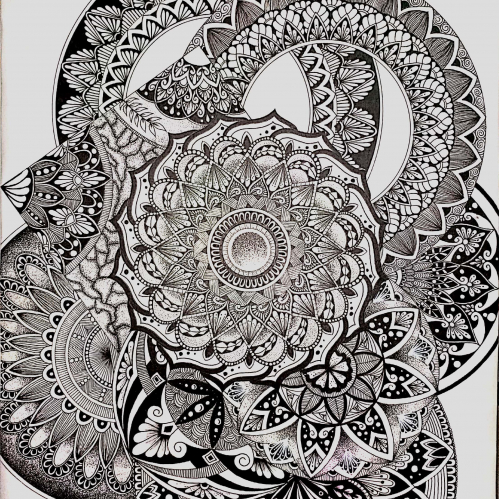 MANDALA CIRCLES
