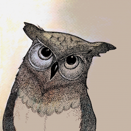 I see you