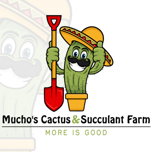Muchos thumb