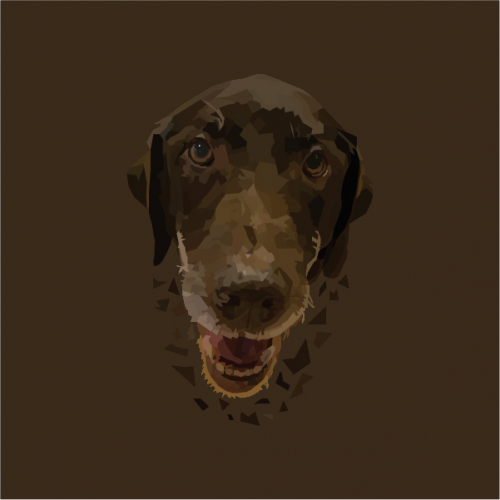 Poly art - Chocolate Lab