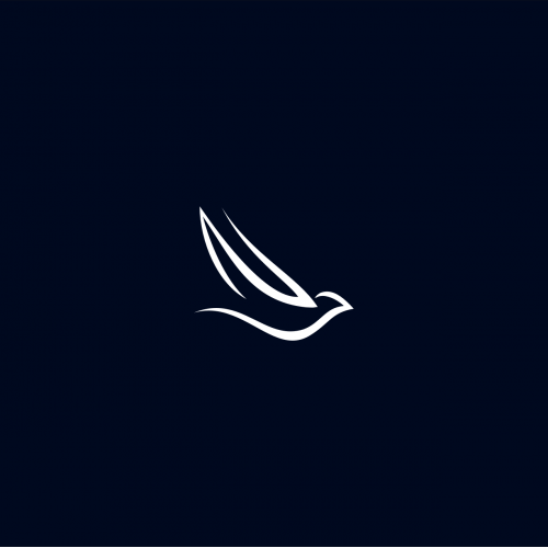 flying bird