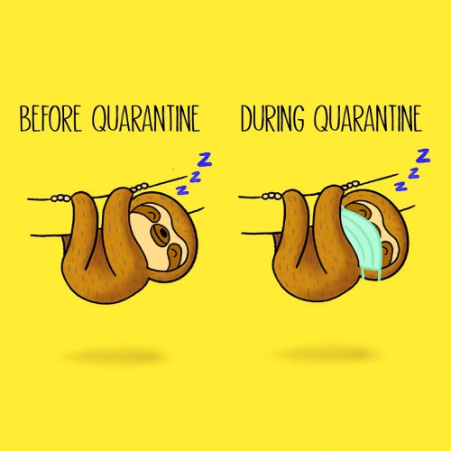 Quarantine Sloth meme