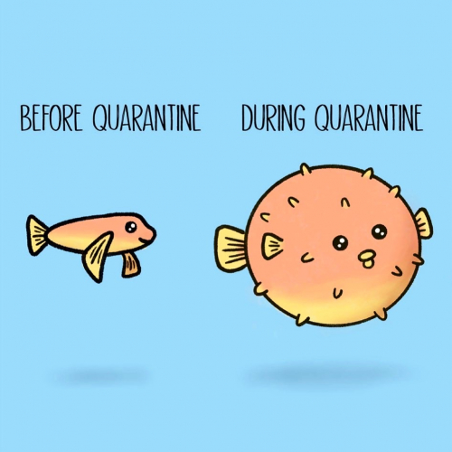 Quarantine 15