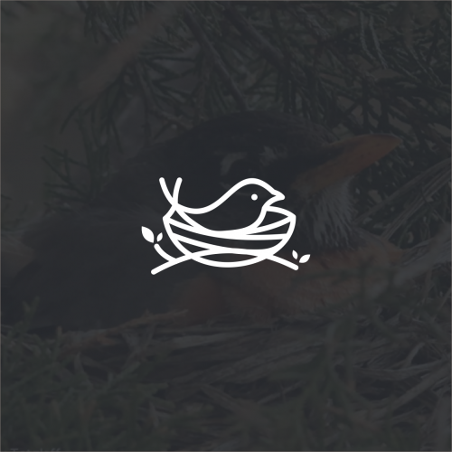 birds and nests