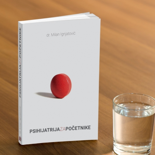 Book Cover: Psychiatry for Beginners