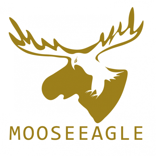Minimalist logo for a company